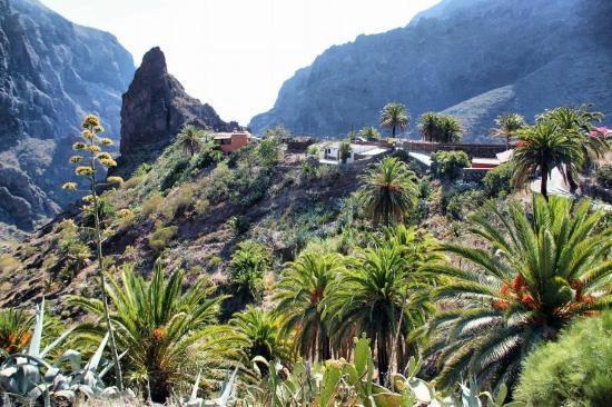 Marody Tenerife House El Médano Extérieur photo